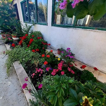 Apartament Buktenica